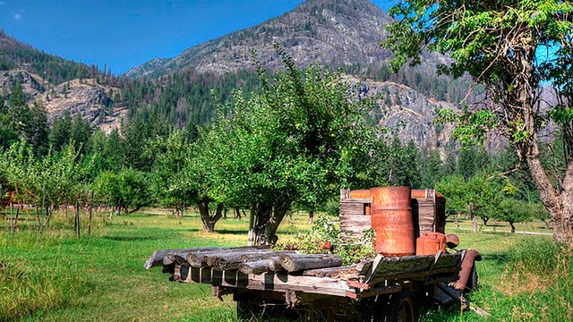 A rustic truck sits in an orchard with trees surrounding with mountains rising above.