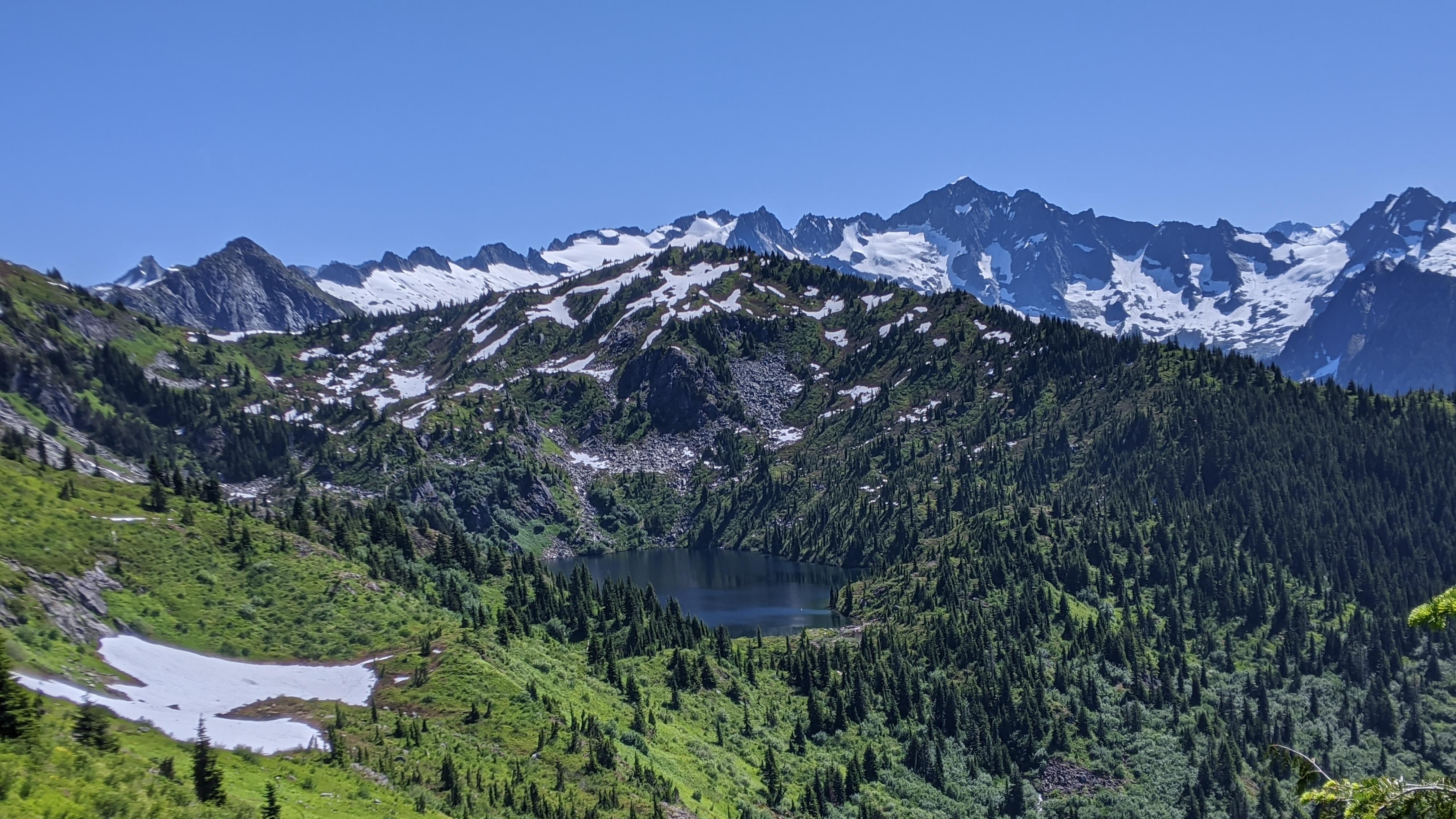 green alpine meadow with rock mountains in the distance 
