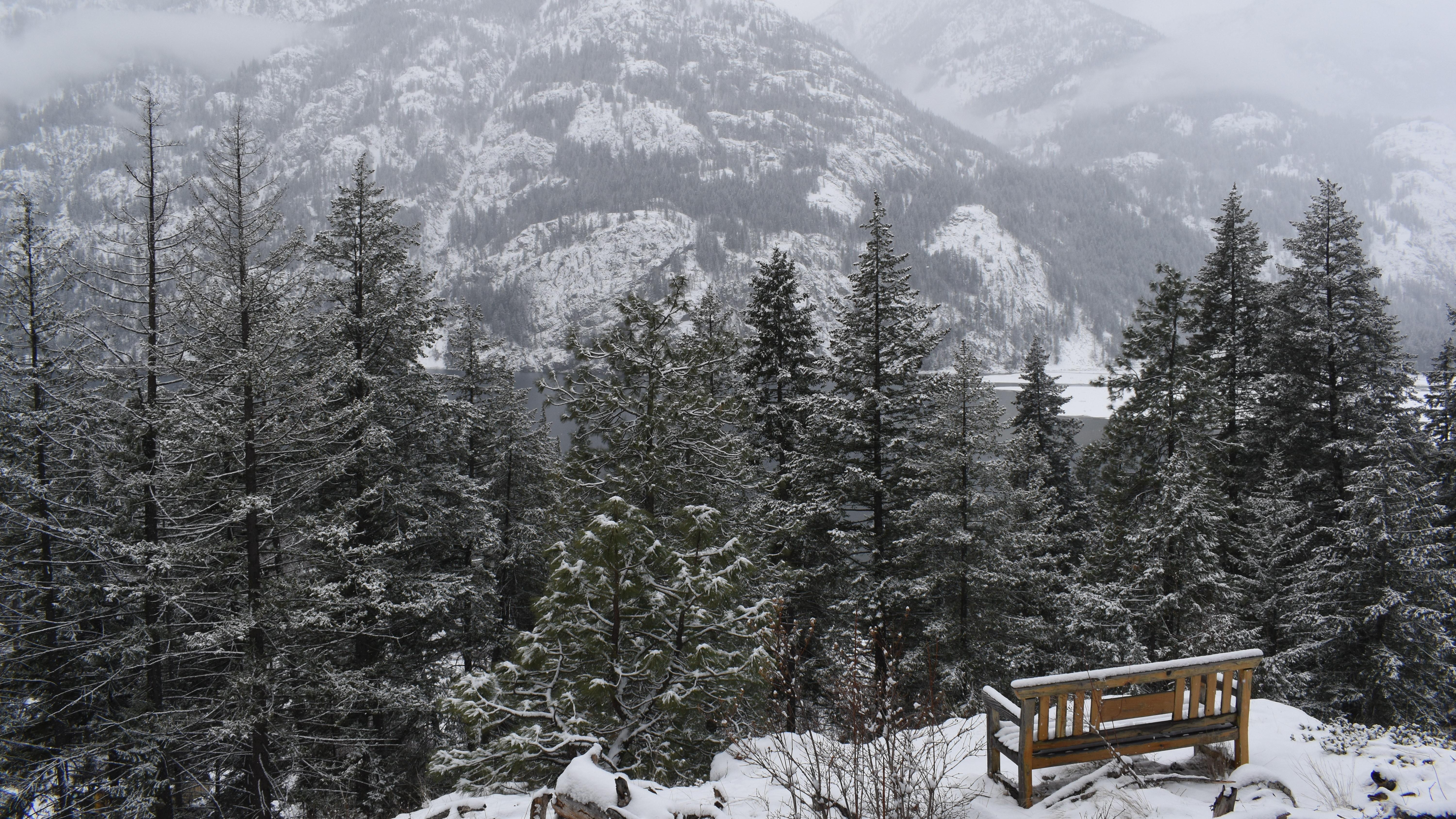 Bench overlooking forest with snow in winter