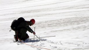 Park staff places a stake in a glacier for research. 