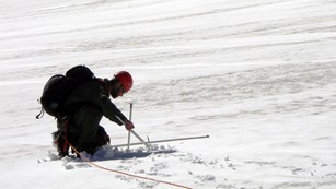 Park staff places a stake in a glacier for research.