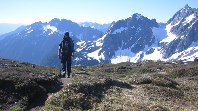 A hiker walks on a trail through a meadow, with mountains in the distance.