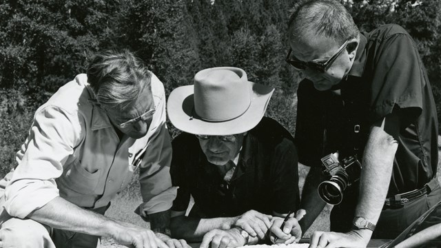 three men looking over maps 