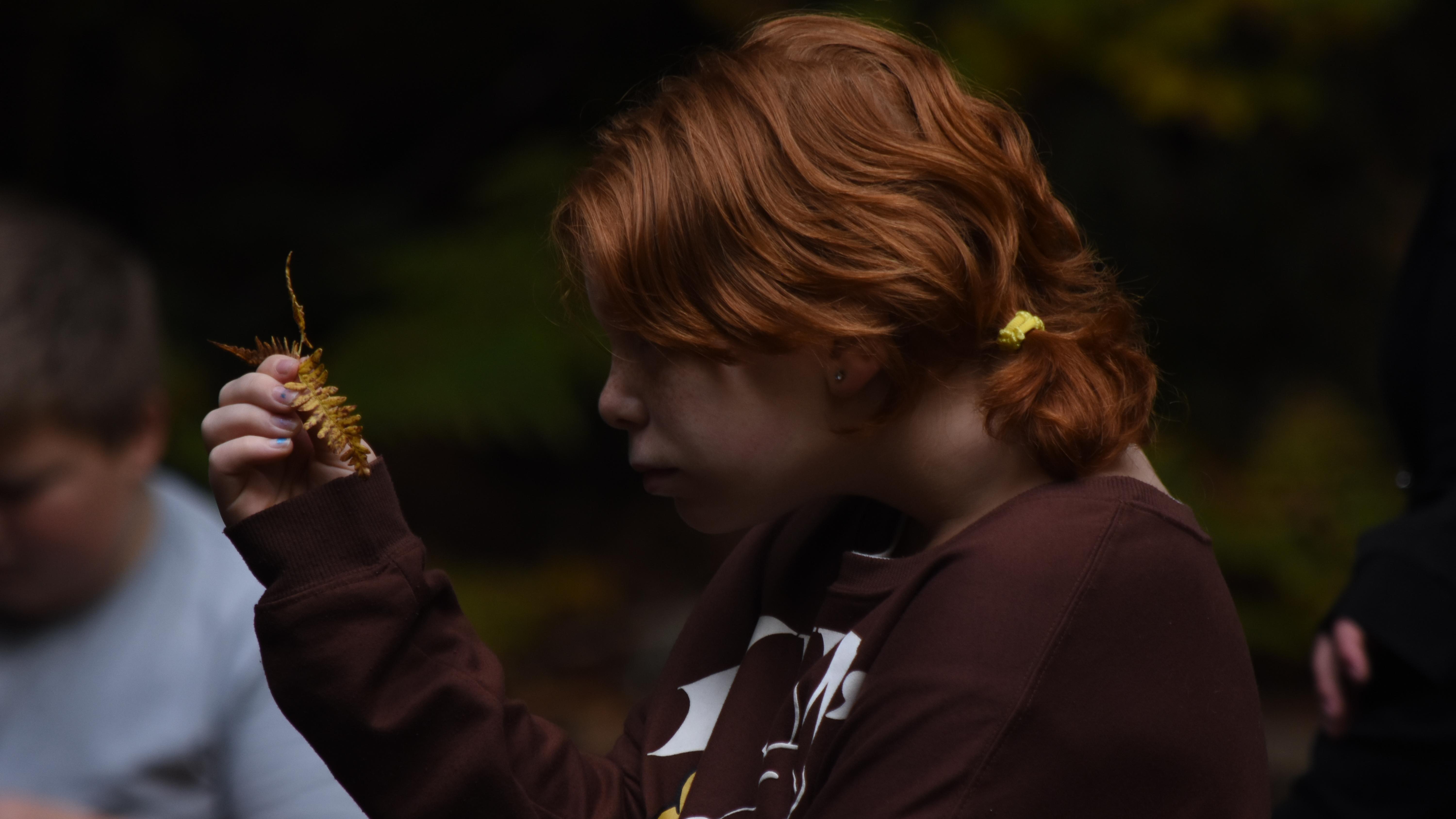 child looking at a fern
