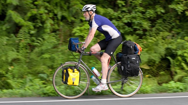 A bicyclist rides along the edge of a forested road.