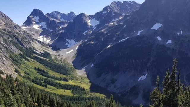 A forested valley surrounded by mountains.