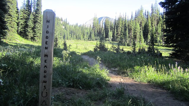 A signpost on a trail.