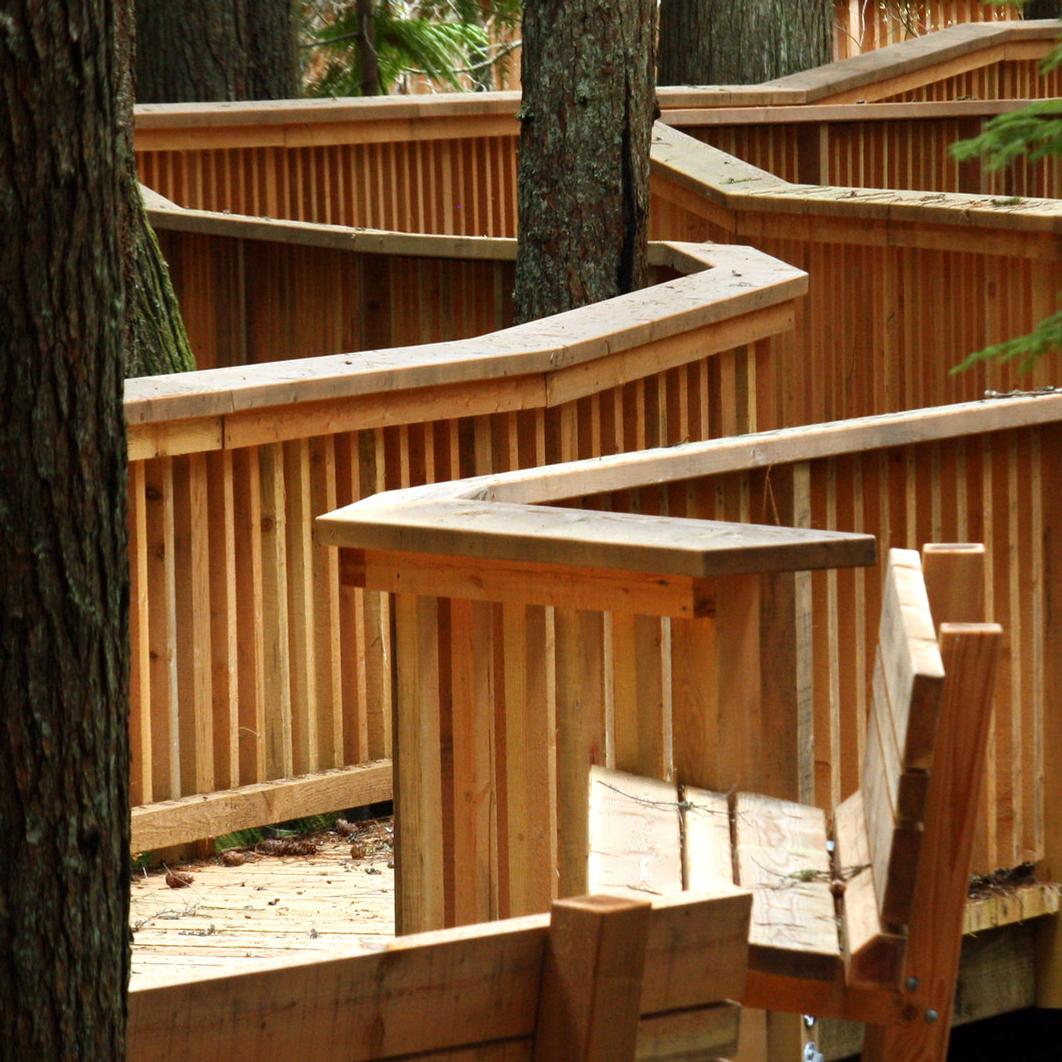 A boardwalk winds through a forest.