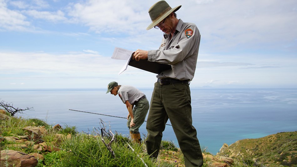 Staff at Santa Monica Mountains NRA survey for native vegetation