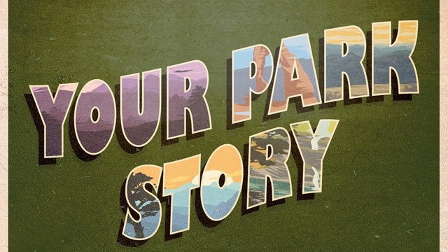 Postcard reading "Your Park Story" with park images inside the letters 