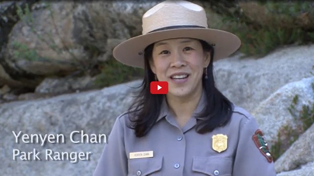 Video screenshot of a ranger talking with text reading "Yenyen Chan, Park Ranger"