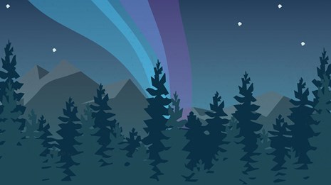 Illustration of the northern lights over a forest at night with text reading