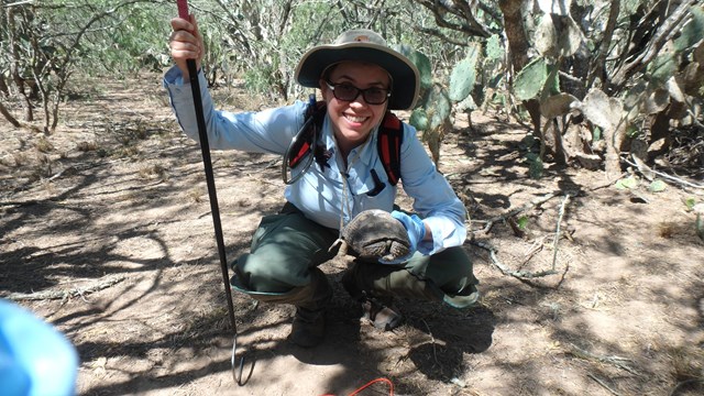 Intern holding a tortoise 