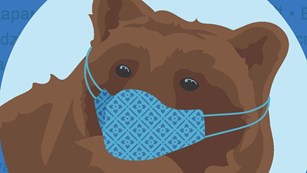 Illustration of a bear wearing a face mask