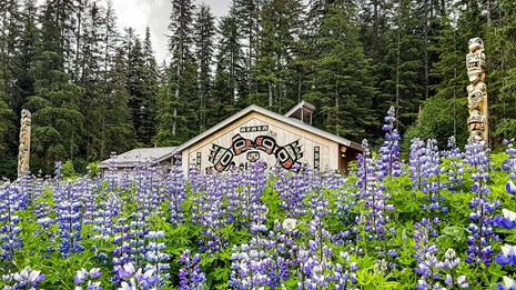 Tribal house in a field with purple flowers
