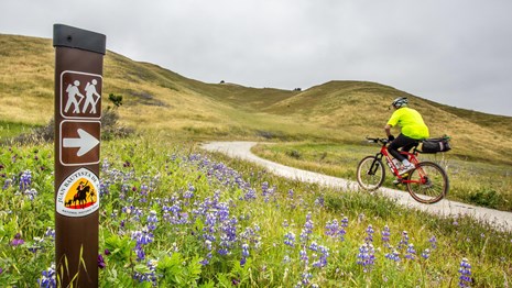 Bicyclist passing a trail marking on a wide dirt path in a grassy field