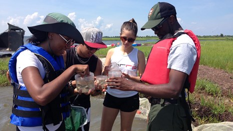 Park ranger showing something to several interns