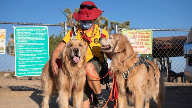 Volunteer wearing a Search and Rescue team shirt while kneeling with her two dogs