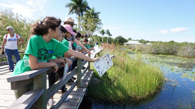Group of students looking at a marsh area from a bridge