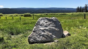 Boulder with inscriptions in a field