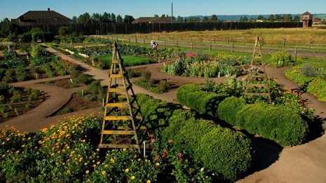Large garden
