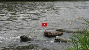 Screenshot of film showing river currents