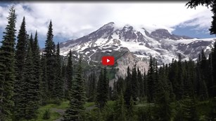 Screenshot from a film of a mountain surrounded by a forest 