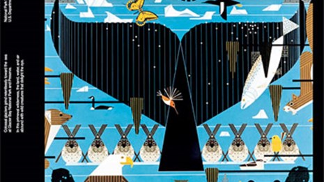 Illustration of a whale tail on a park brochure