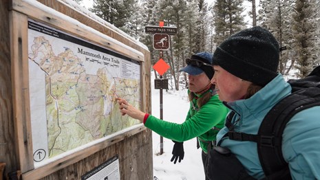 Visitors looking at a bulletin board map in a snow-covered forest
