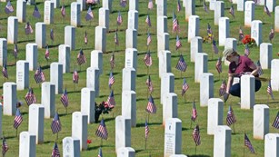 Rows of tombstones with flags at a national cemetery
