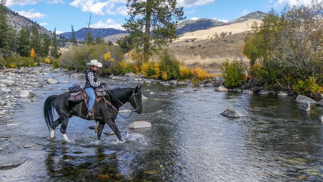 Horse rider crossing a stream