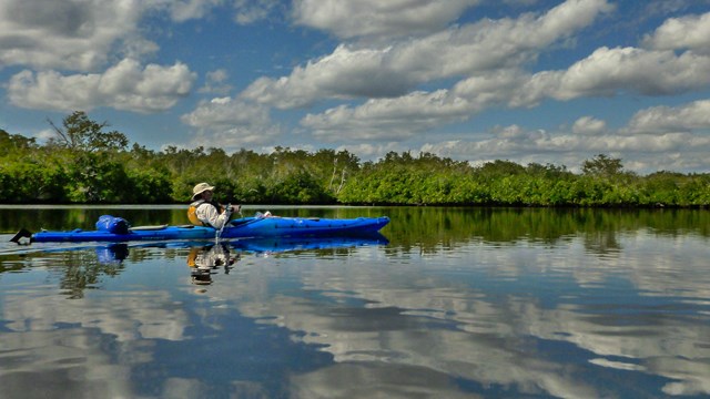 Kayaker in a marsh area