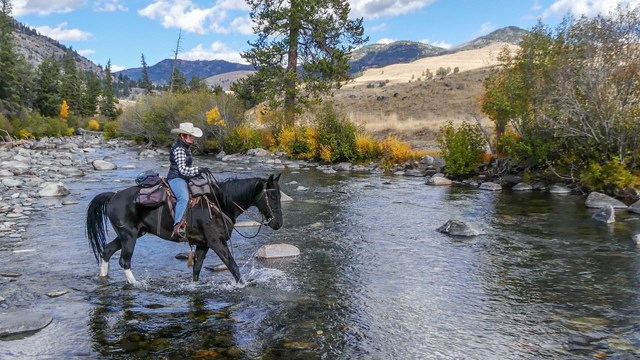 Horse rider crossing a stream