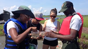 Park ranger showing something in his hand to three interns