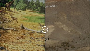 Illustration of prehistoric creatures next to a photo of a desert landscape