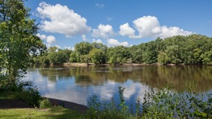 Mississippi River lined with trees