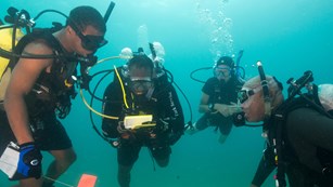 Several scuba divers communicating underwater