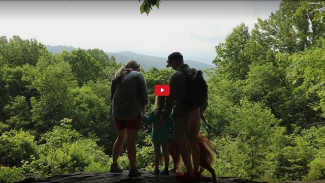 Video screenshot of a family in the woods on a mountain 