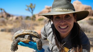 Ranger holding a tortoise in the desert