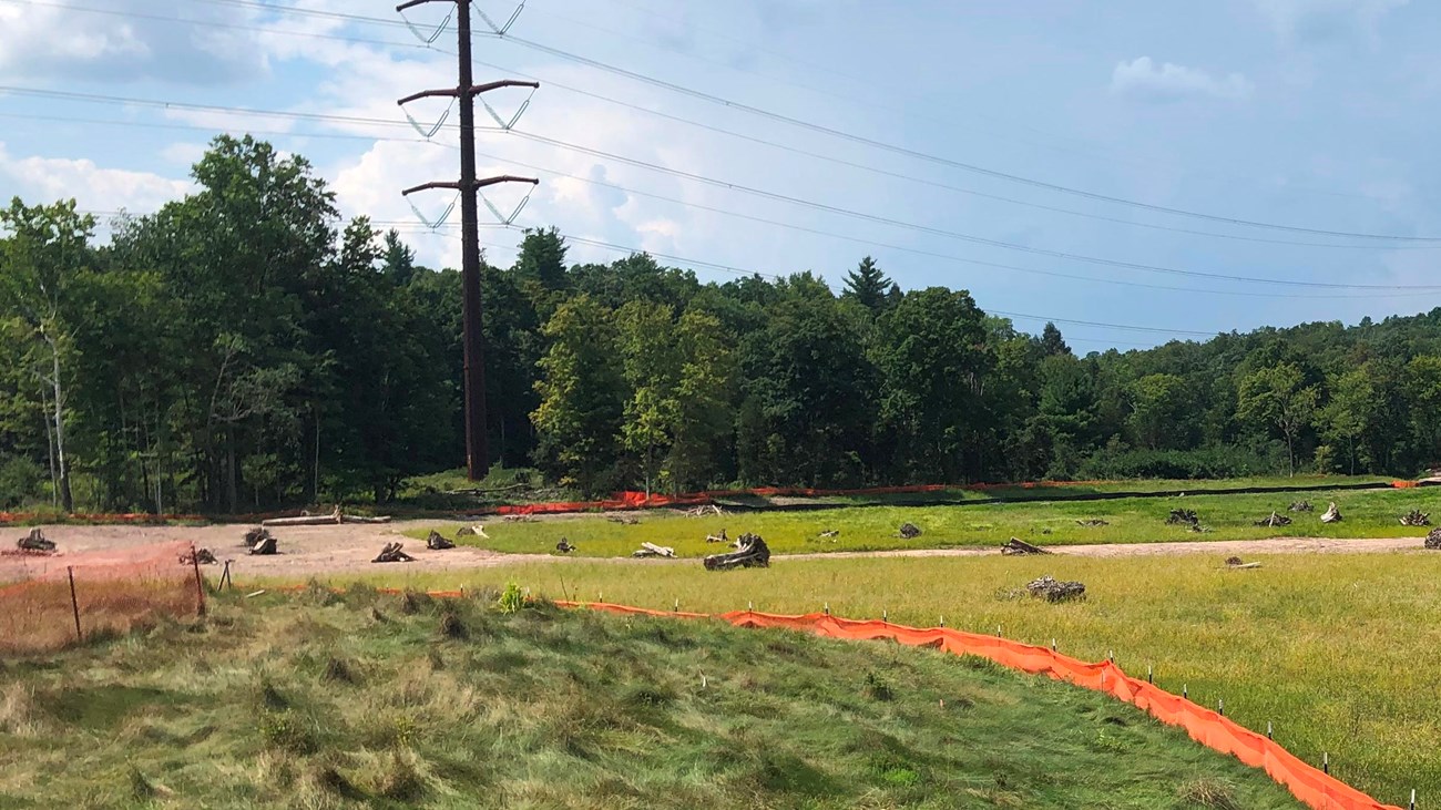 Fencing around wetlands