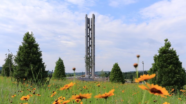 Tall metal tower in a field of yellow flowers