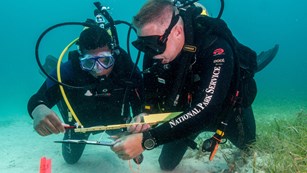 Two underwater divers looking a something with a tape measurer