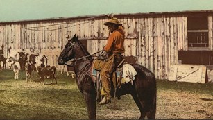 Illustration of a cowboy throwing lariat