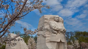 Cherry blossom branches in front of a tall statue of Dr. Martin Luther King Jr.