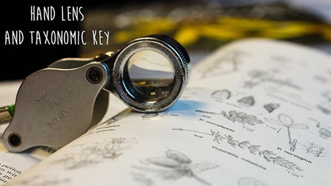 Hand lens on a field notebook