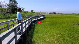 Screenshot of an intern on a boardwalk looking over a marsh