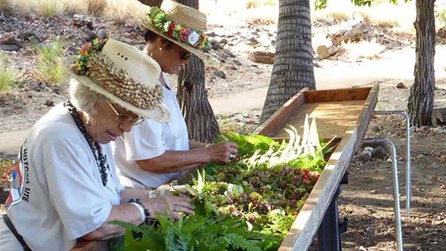 Two people sifting through a box of leaves