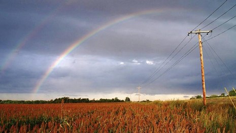 Rainbow over a field of crops