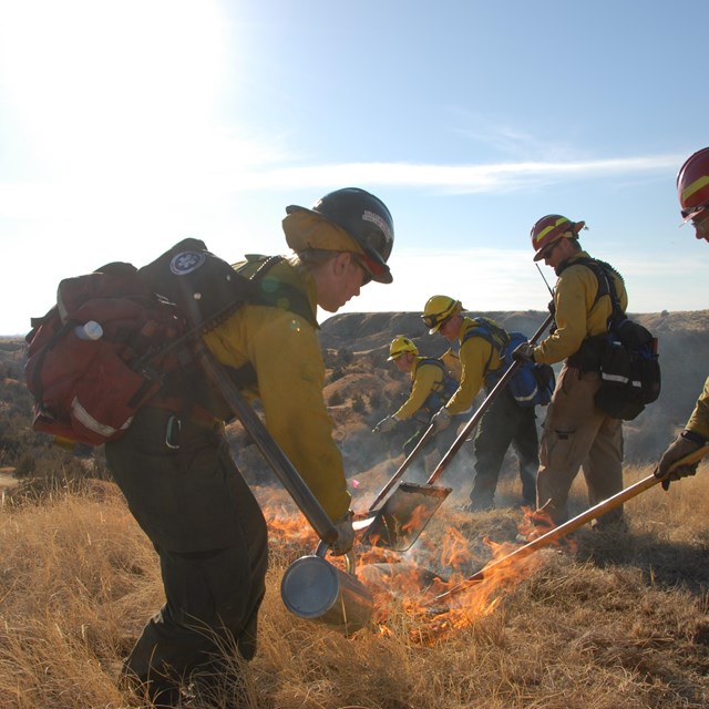 Firefighters doing a prescribed burn