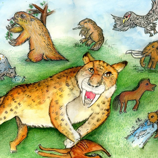 Kid's illustration of prehistoric creatures